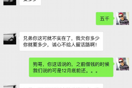 安岳安岳的要账公司在催收过程中的策略和技巧有哪些？